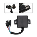 CDI-Zündanlage (Steuergerät 3002294) für Arctic Cat Cheetah (1977–1978) und Pantera