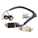 1992-1994 Yamaha Yfm80 Badger 80 Magneto Generator Stock 3GB-85560-10-00