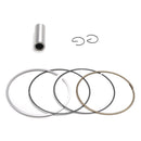 78mm Lager Bohrung Zylinder Kolben Top Ende Rebuild Kit Fit Für Honda CRF250R 2004-2009