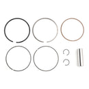 2016–2022 Honda CB250 (neu) Twister/ABS/CBS 310 cc Zylinderkrug Kolben Top End Kit 79 mm