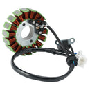 Benelli TNT 135 4T Stator Lichtmaschine Regler Dichtung Generisch