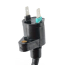 2006-2026 Can-Am DS250 CDI Tændboks Tændspole Stator Regulator Pakning Generisk
