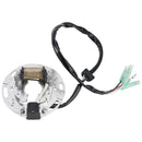 1992-1997 Kawasaki KX80 KX80S Kawasaki KX80 KX80V 1992-1997 Lichtmaschine Ignition Stator Generic