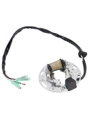 1992-1997 Kawasaki KX80 KX80R Lichtmaschine Ignition Stator Generic