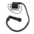 2000-2007 Can-Am DS650 IGNITION COIL IGNITION MODULE Generic