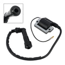 2000-2007 Can-Am DS650 IGNITION COIL IGNITION MODULE Generic
