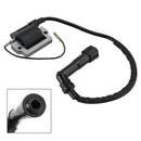 2000-2007 Can-Am DS650 IGNITION COIL IGNITION MODULE Generic