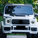 2019-2023 Mercedes Benz G-Class W464 W463A B700 B800 B900 Dry Carbon Fiber Front Grille Frame Trim Generic