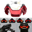 2025-2026 KAWASAKI Z900SE Integrated taillights with indicators Generic