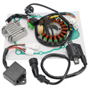 1994-1996 Yamaha YFB250 Timberwolf 2WD CDI Zündbox Zündspule Stator Regler Dichtung Generic