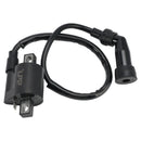 1994-1996 Yamaha YFB250 Timberwolf 2WD CDI Zündbox Zündspule Stator Regler Dichtung Generic