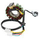 1997-2001 Yamaha YFB250FW Timberwolf 4WD CDI Zündbox Zündspule Stator Regler Dichtung Generic