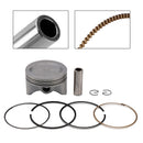 2005-2012 Yamaha XT250 Piston Ring Set 74.75Mm 5Xt-11631-00 4XV-11603-00 4XV-11603-01 Generic
