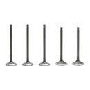 2001-2005 Yamaha YFM660R Raptor sylinterikannen venttiilien tiivistesarja 3YF-12121-00 5KM-12111-00