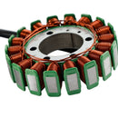STATOR FÜR KAWASAKI NINJA VERSYS VULCAN S 650 21003-0118 21003-0164 21003-0206