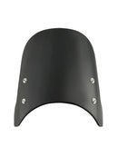 2019-2023 Husqvarna Vitpilen 401/Svartpilen 401 Windschutzscheibe Windschutz