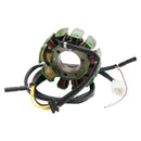 MAGNETSTATOR 11-POLIG FÜR SMC STINGER EXPLORER BAROSSA CHEETAH REX QUAD ATV 250