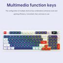 Mechanische Tastatur mit 98 Tasten, 2,4-GHz-Funkverbindung, Bluetooth, drei Modi, RGB-Beleuchtung und Hot-Swap-Funktion