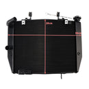 2020-2022 Triumph Street Triple 765 R Kühlerkühlung Motorkühler