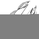 2018-2024 Kawasaki Z900RS Side Frame Panel Protector Fairings Cover Chrome