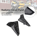Sidepaneler for radiatoren til Street Triple 765 R/RS (2023–2025)