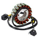 2004-2010 SYM ATV Quad Lander 250 Stator Generator Regler Dichtung 31120-RCA-000