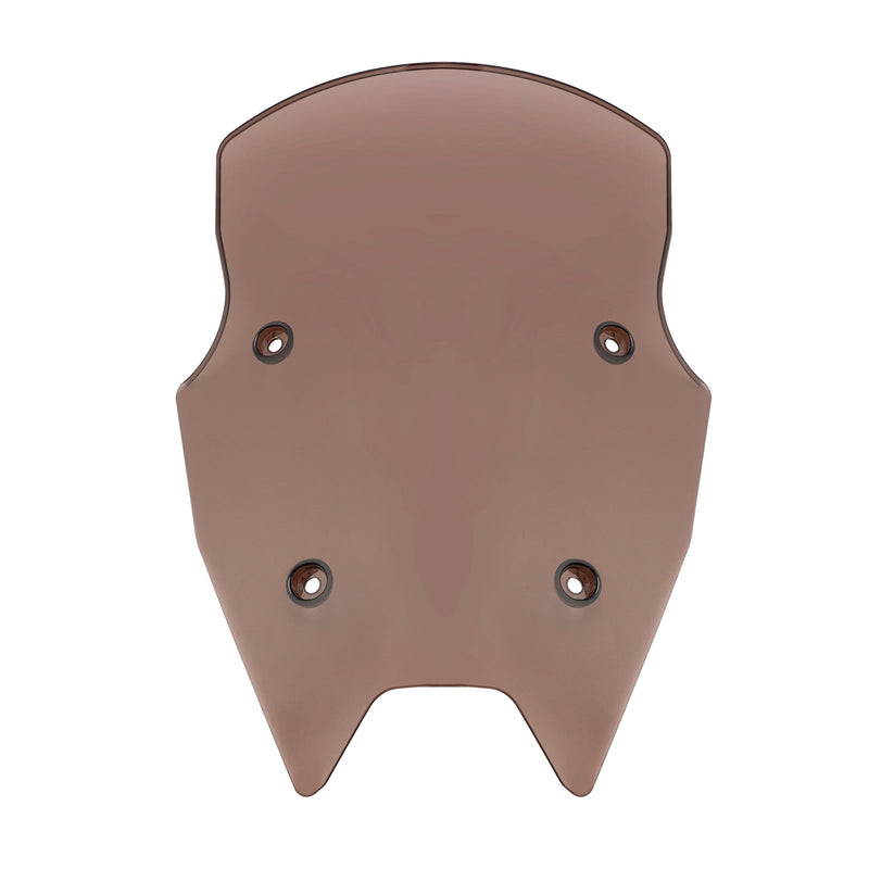 2019-2024 BMW R1250RS Windschutzscheibe Windschutz