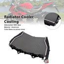 Radiador de alumínio para BMW S1000R (2015–2018)