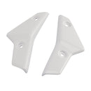 2020–2022 Street Triple 765 R/RS Kühlerseitenabdeckung Verkleidungsplatten