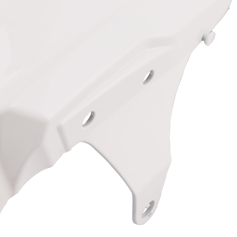 2020-2025 Street Triple 765 R RS Vorderradkotflügelverkleidung