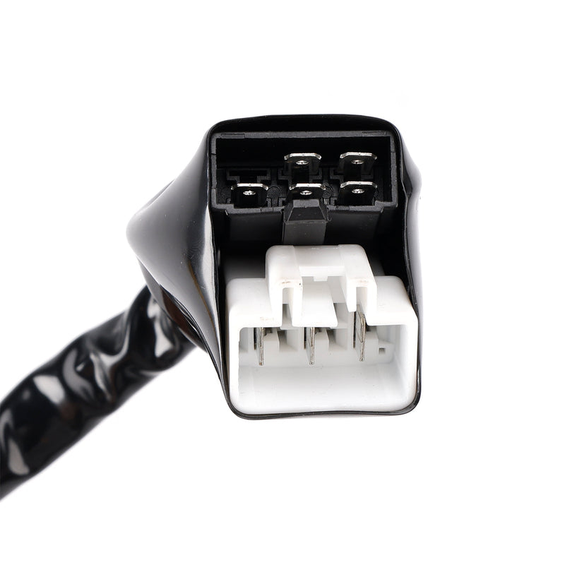 2005–2006 Honda PS 125 Big Ruckus Magneto Stator Spule Regler Dichtung Kit