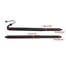 2016–2019 Explorer Escape Police Interceptor Utility 2 Stück elektrische Heckklappen-Hebestützen GB5Z14B351A