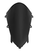 2023-2024 HONDA CBR250RR Windschutzscheibe