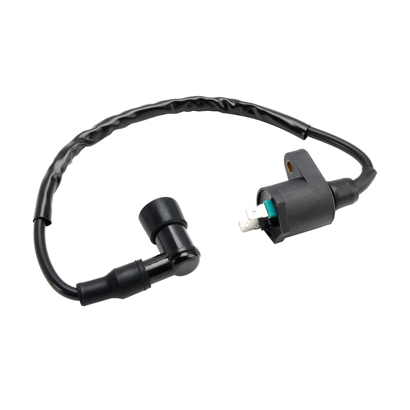 CDI-Box tenningsenhet egnet for adly ATV 150 Sport/Utility/Crossroad Kayo Fox 70 TTR-1110