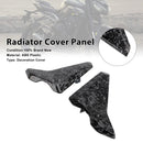 Sidepaneler for radiatoren til Street Triple 765 R/RS (2023–2025)