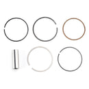 50cc Zylinder Kolben Dichtung Kit Für Yamaha YW50F YW50FX Zuma 50F 4T 2012-2019
