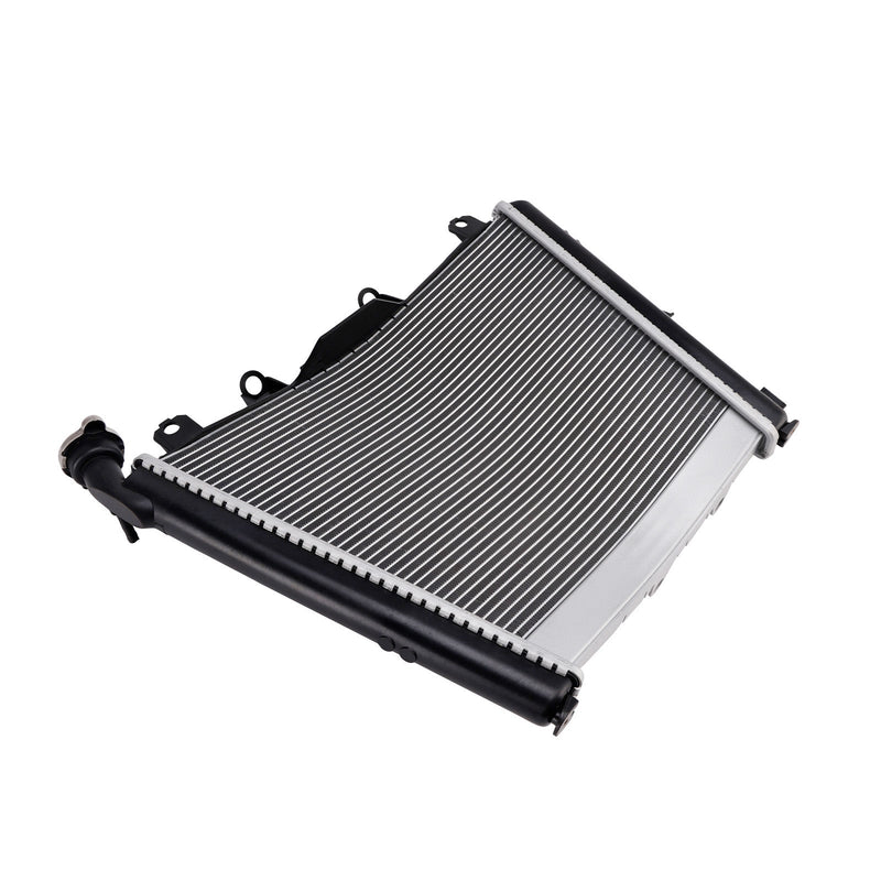 2021-2025 BMW S1000R Kühler Motorkühler