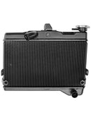 2019-2024 Yamaha Tenere 700 XTZ700 Kühler Kühlung Motorkühler