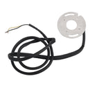 Elektronischer Zündaufnehmer für Vergasermodelle von 1970–2003, Dual Fire 21–7561 133–3001