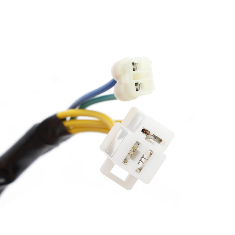 Statorgenerator für Kymco Dink Street / K-XCT / X-Town 125i / People GTi 125 i