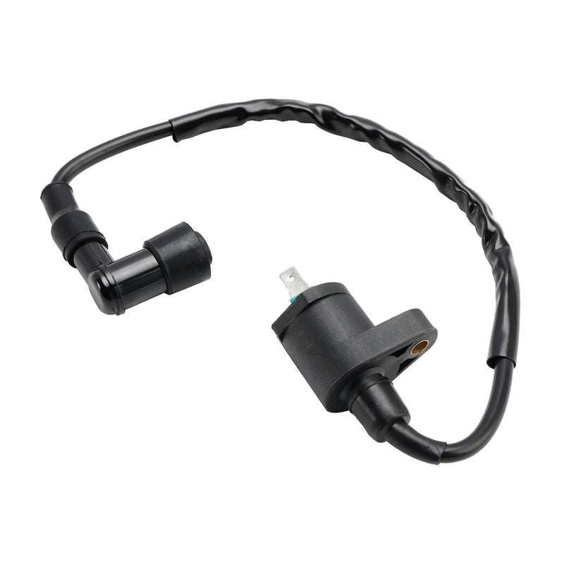 CDI-Box tenningsenhet egnet for adly ATV 150 Sport/Utility/Crossroad Kayo Fox 70 TTR-1110