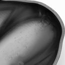 2023-2024 Speed ​​​​Twin 900 kjedebeskyttelse foran kjededeksel