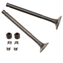 69-mm-Einlass-/Auslassventil-Kit für GY6 139QMB Moped 50cc 80cc Sunl Baja Taotao