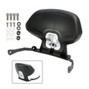 2022-2024 Honda ADV350 Passenger Sissy Bar ryggstøtte