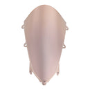 2023-2024 HONDA CBR250RR Windschutzscheibe