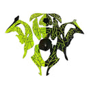 Injection Verkleidung Kit Karosserie Kunststoff ABS fit Für Kawasaki ZX10R 2016-2020