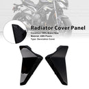 Sidepaneler for radiatoren til Street Triple 765 R/RS (2023–2025)