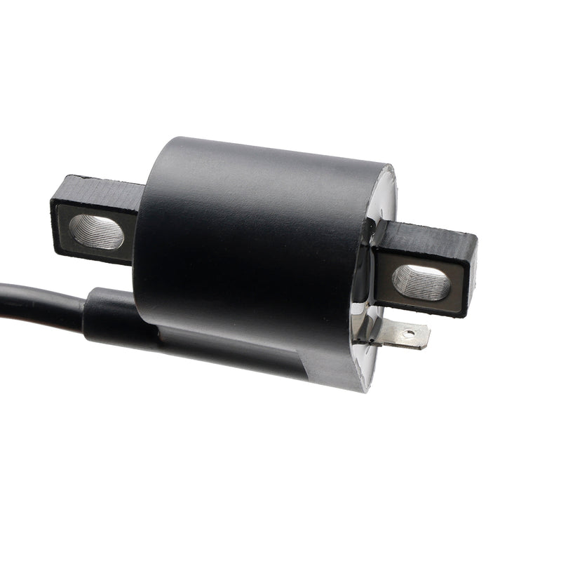 CDI-Box Zünder egnet for Polaris ATV Predator 50 90 Can-Am ATV Mini DS 50 90