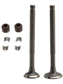 69-mm-Einlass-/Auslassventil-Kit für GY6 139QMB Moped 50cc 80cc Sunl Baja Taotao