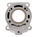 2009-2023 SX 65 Cylinder 46230038000